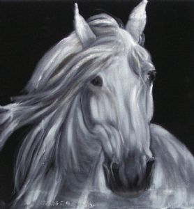 Horse portrait on black velvet