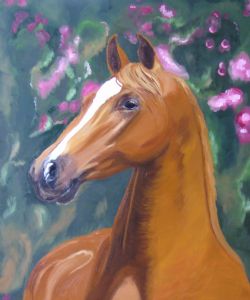 Horse portrait