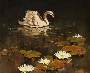 lonely swan