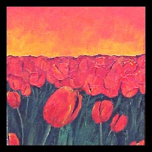 <b>Tulips Sunset