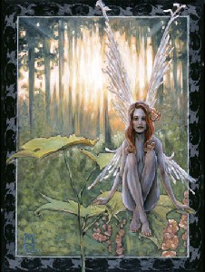 Foxglove Fairy