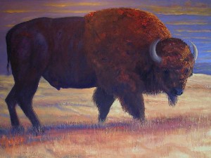 Prairie Bull