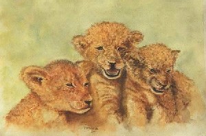 Macdonald,Victoria-Three Lion Cubs
