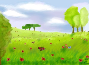 Poppy Field