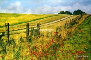 Poppy Field, Suffolk