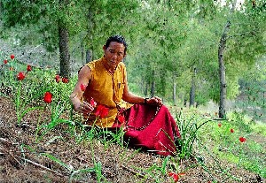 Tibetan Doctor in the woods