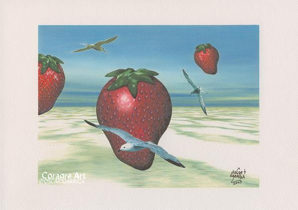 Sobrevolant els Camps de Maduixes