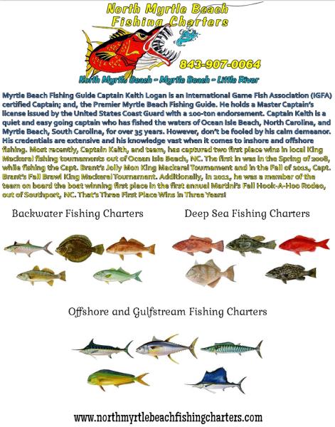 Myrtle Beach Inshore Fishing Charters