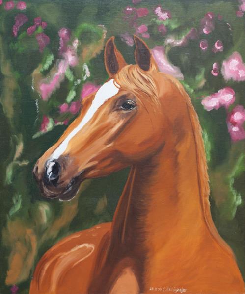 Luethi Abdelghafar,Claudia-Wonderful horse portrait