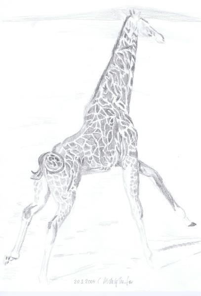 Luethi Abdelghafar,Claudia-Giraffe