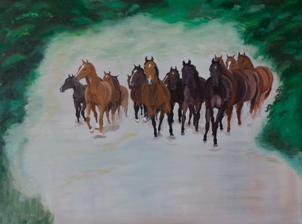 Luethi Abdelghafar,Claudia-Herd of horses in canter