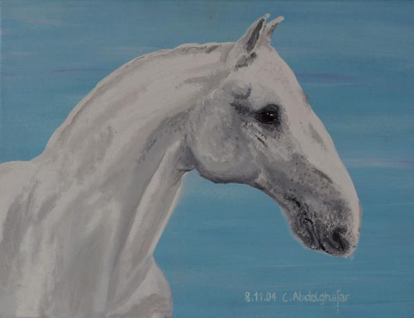 Luethi Abdelghafar,Claudia-Lippizan horse with a special nose