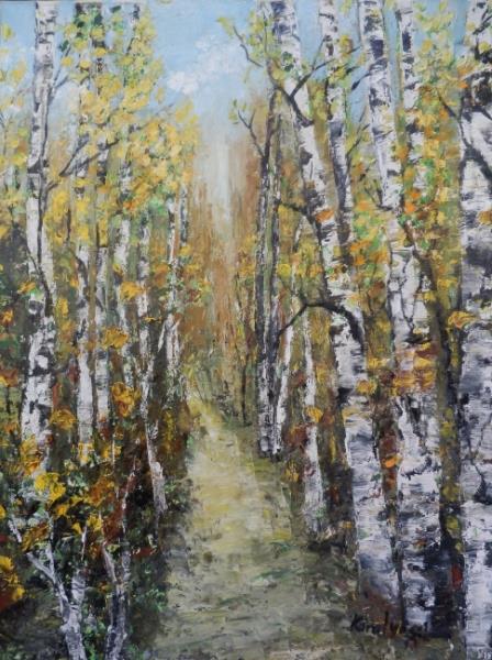 Path through birch forest