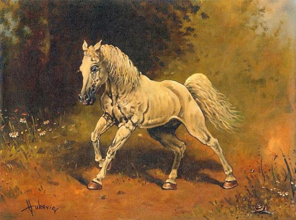 vukovic,dusan-White Horse