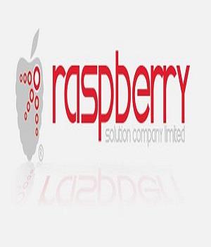 RASPBERRY SOLUTION COMPANY LIMITED