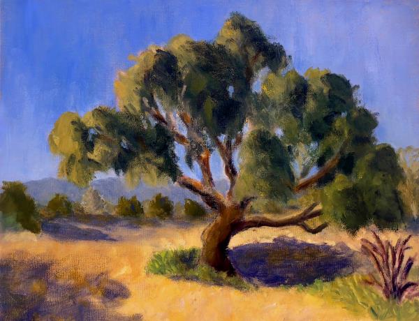 Powell,Fred-Arroyo Burro Tree