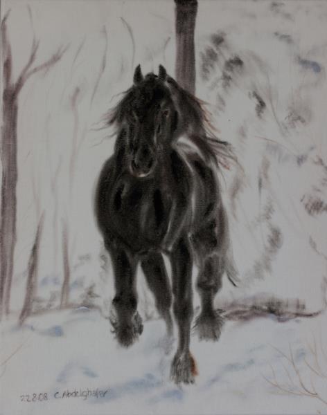 Luethi Abdelghafar,Claudia-Friesan horse in winter