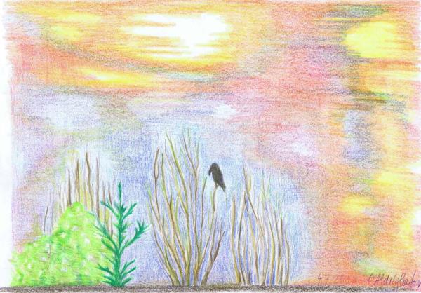 Luethi Abdelghafar,Claudia-Sunset with a crow