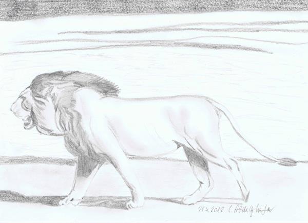 Luethi Abdelghafar,Claudia-Lion walking