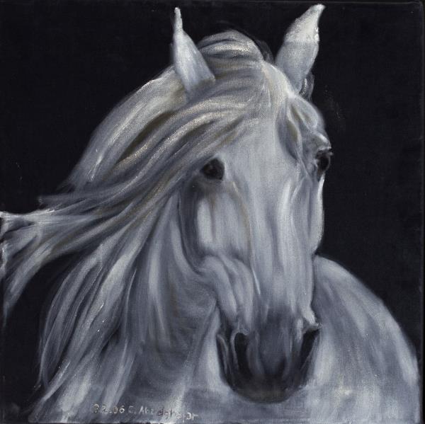 White horse portrait on black velvet