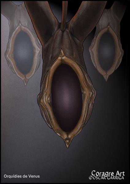 Orqu�dies de venus