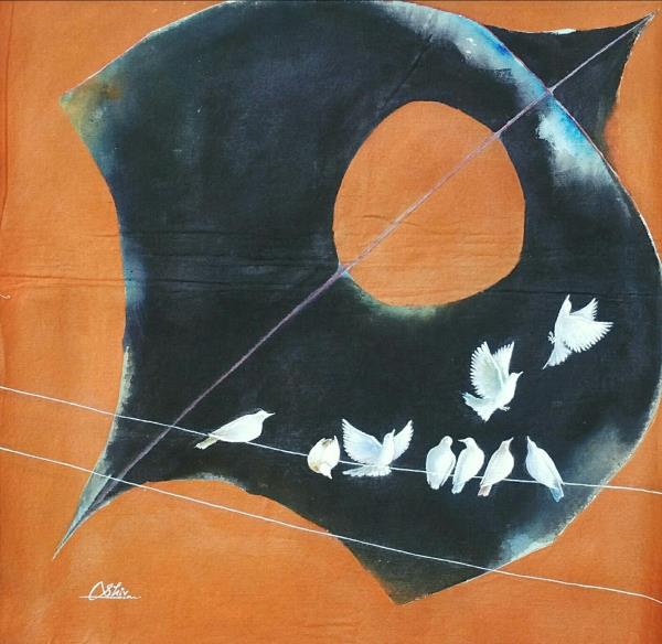 The black kite & birds of peace