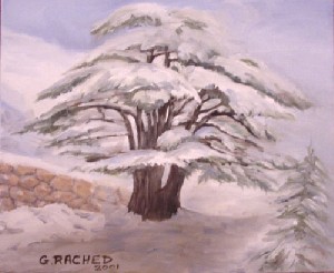 Rached,Ghassan-Millenary Cedar Tree