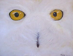 Elliott,Bernie-Owl Eyes