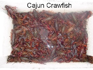 Boyd,Gigi-Cajun Crawfish