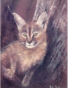 palm,rita-Caracal Kitten
