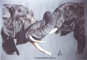 Herlinger,Janette-Loving elephants