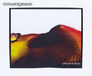 El Desert que No Existeix