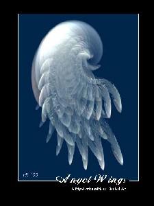 Repka,Vladimir-Angel's Wings