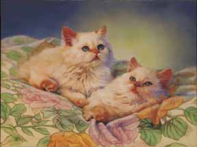 McMenamin,Mary-Cozy Kittens