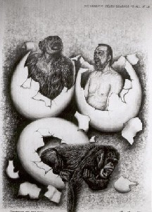 Chimpanzees with selfportrait