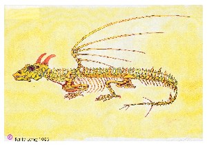 Dragon skeleton, coloured