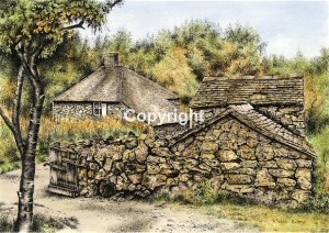Squatter Cottage, Ironbridge Gorge - Shropshire