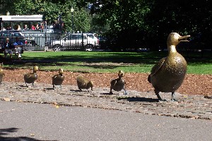 Hayes,Kelly-Make Way for Ducklings