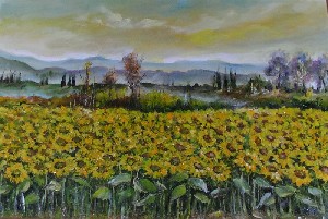 Brunotti,Silvana-Sunflowers field