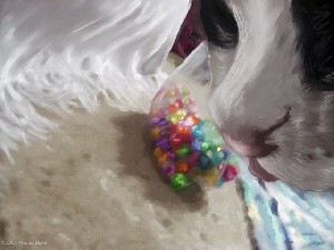 Cat and Beads