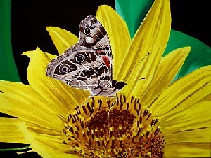 Sakjo,Renata-Butterfly