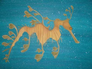 Leafy Sea Dragon