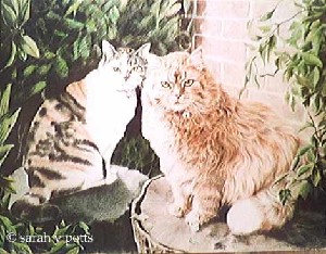 Two Cats