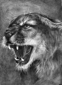 Snarling lion