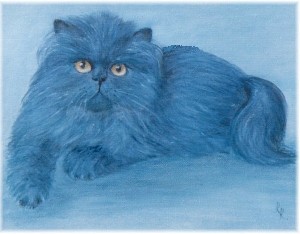 Blue Persian