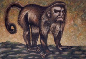 Apella monkey with selfportrait